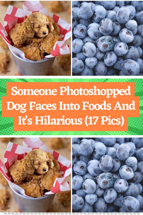 animals photoshopped into food|It's Hilarious That Someone Photoshopped Dog Faces .